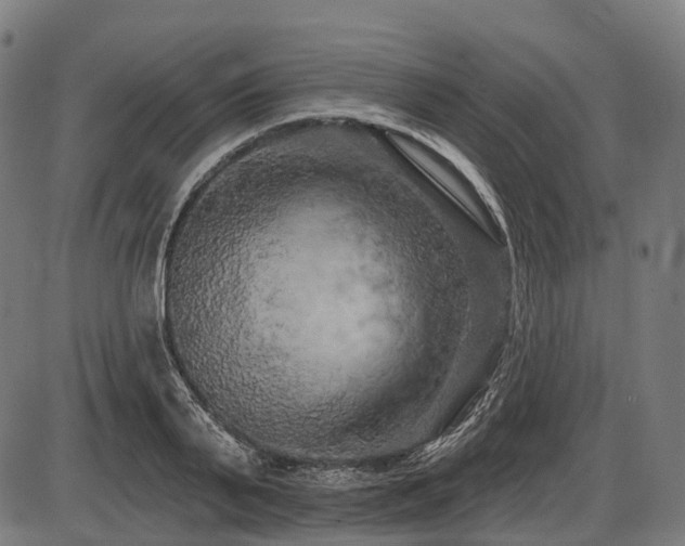 X0000087530791200704271206