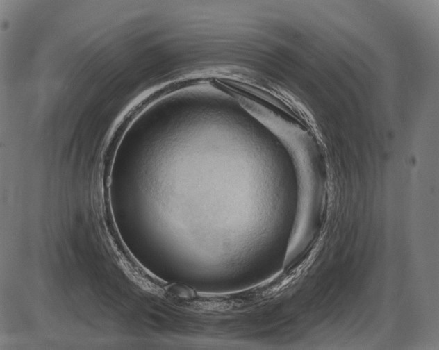 X0000087530792200704271206