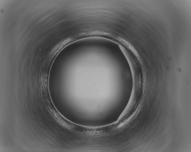 X0000087530793200704271206