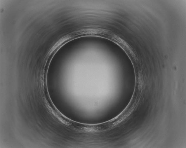 X0000087530794200704271206