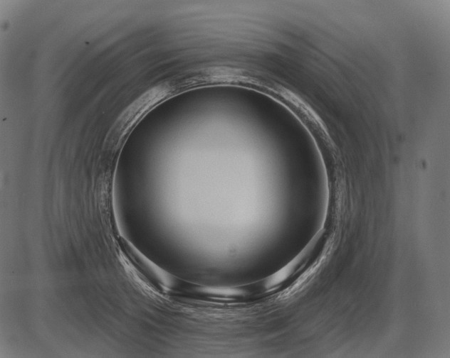 X0000087530801200704271205