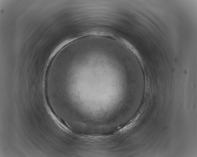 X0000087530803200704271205