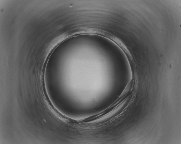 X0000087530805200704271205