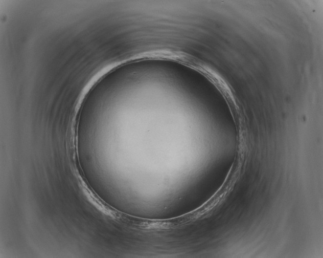 X0000087530808200704271205