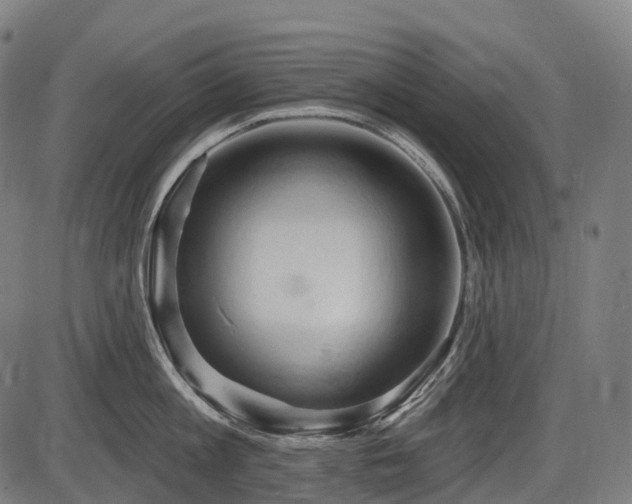 X0000087530813200704271205