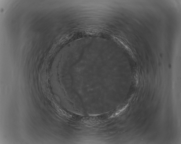 X0000087530817200704271204