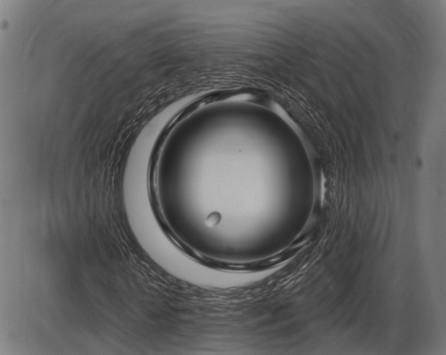 X0000087530818200704271204
