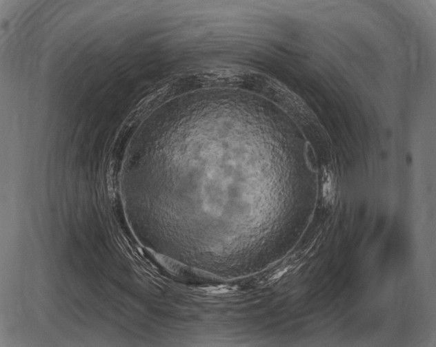X0000087530819200704271204