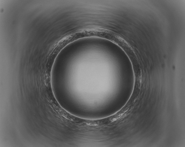 X0000087530822200704271204