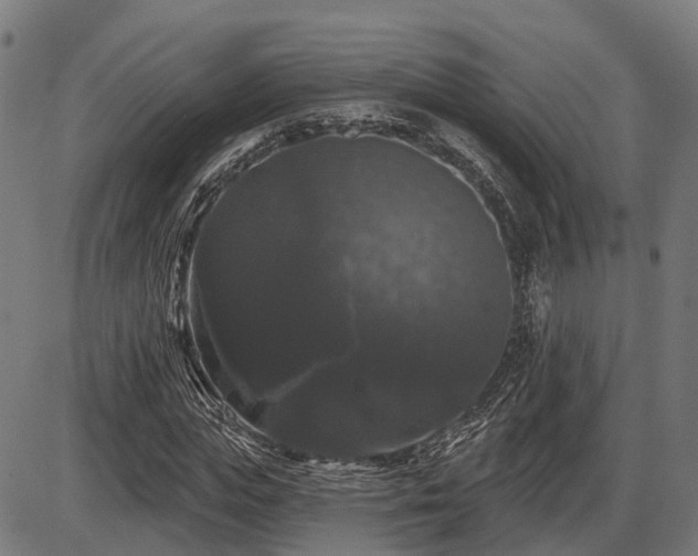 X0000087530823200704271204