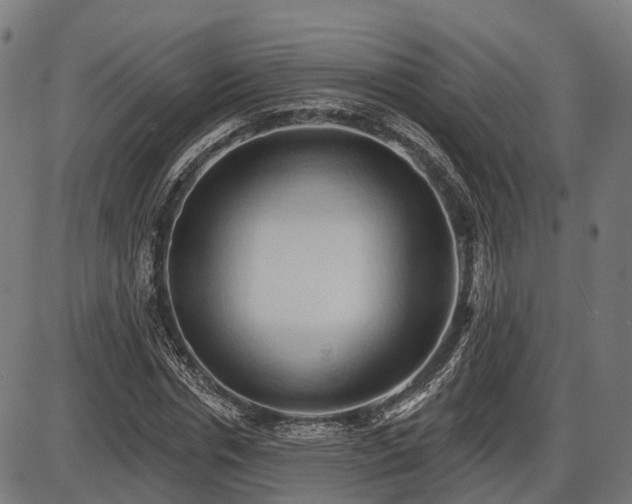 X0000087530826200704271205