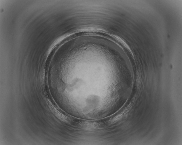 X0000087530831200704271205