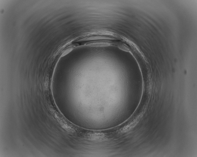 X0000087530833200704271205