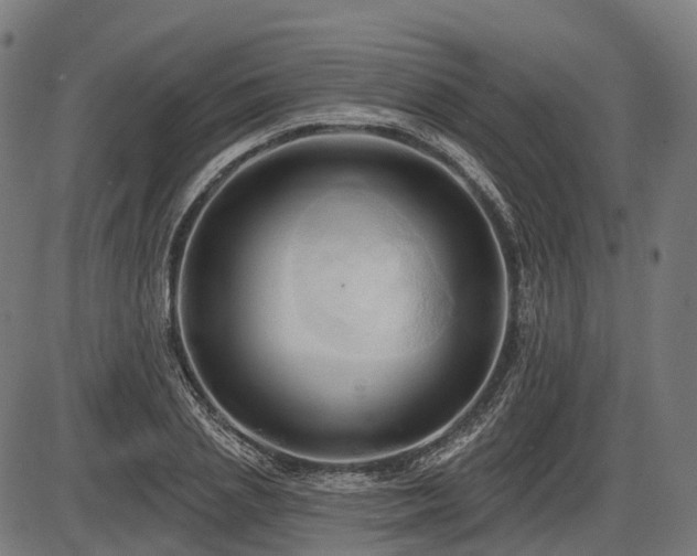 X0000087530837200704271205