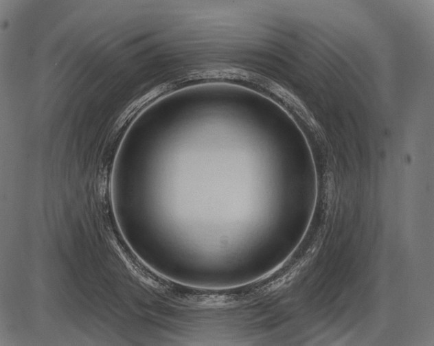 X0000087530841200704271205