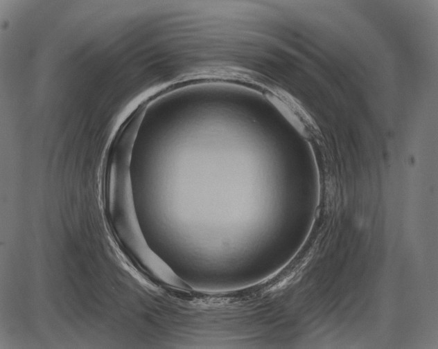 X0000087530846200704271205