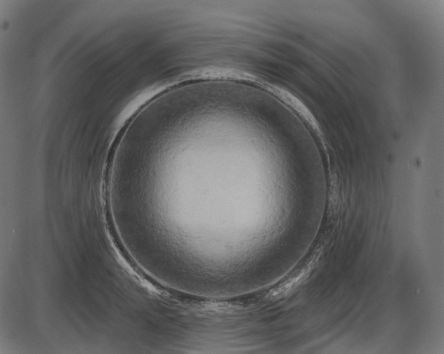 X0000087530847200704271205