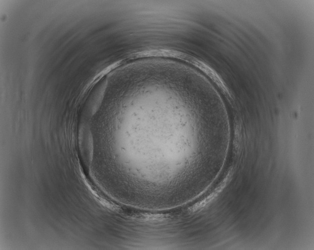 X0000087530849200704271205