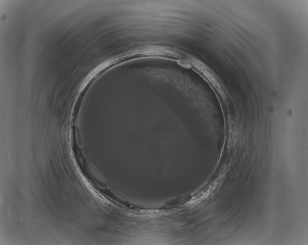 X0000087530853200704271205