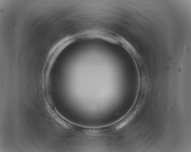 X0000087530854200704271205