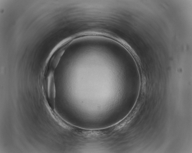 X0000087530862200704271205