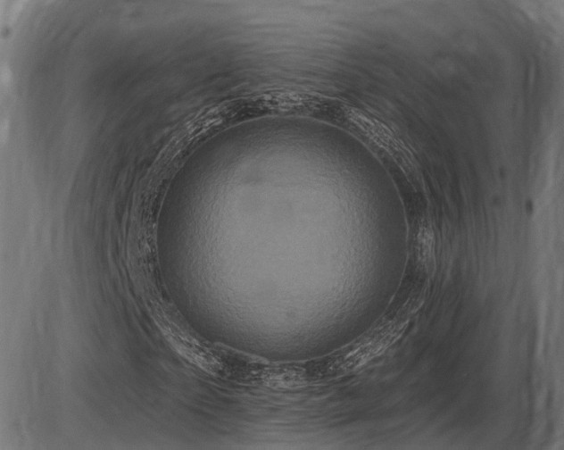 X0000087530865200704271204
