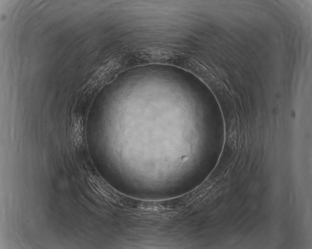 X0000087530866200704271204