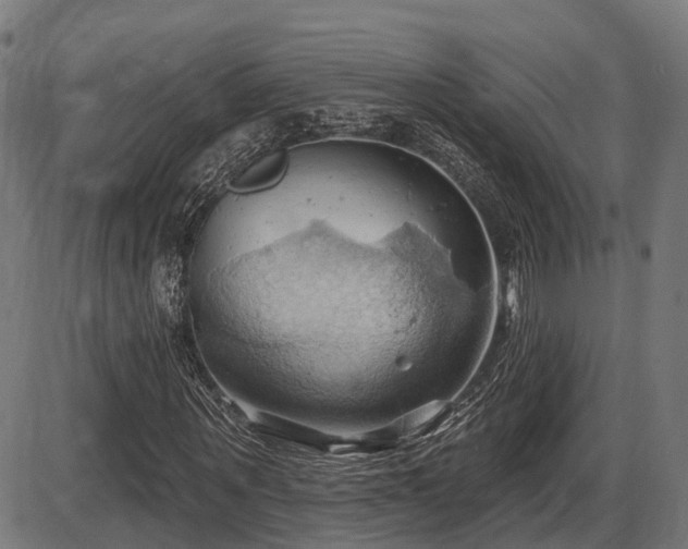 X0000087530867200704271204