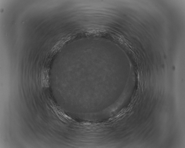 X0000087530868200704271204