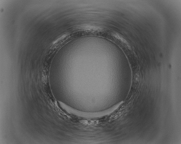 X0000087530869200704271204