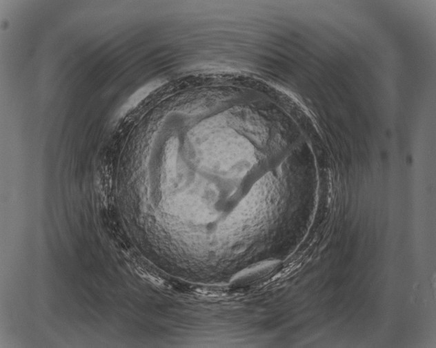 X0000087530871200704271204