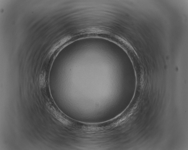 X0000087530873200704271204