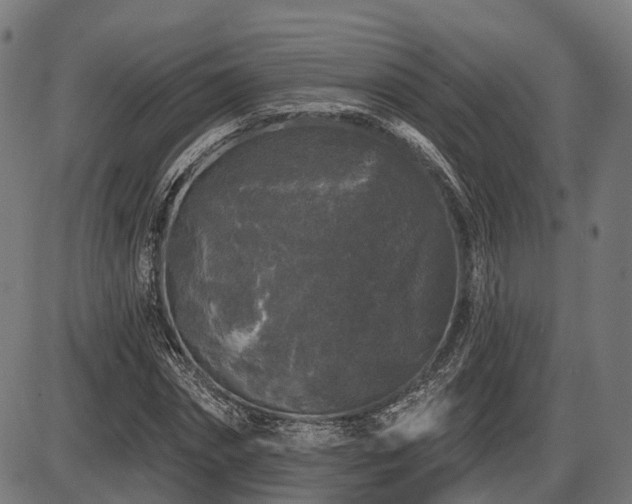 X0000087530874200704271204