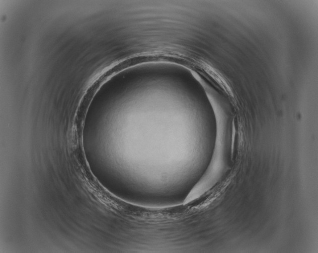 X0000087530876200704271204