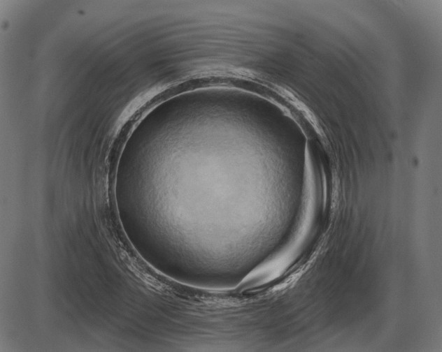 X0000087530877200704271204