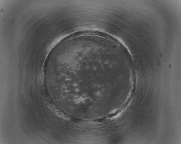 X0000087530879200704271204