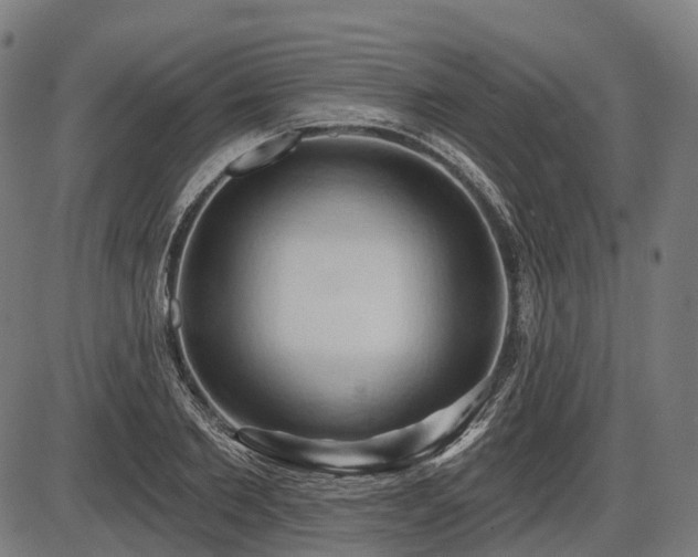 X0000087530885200704271204