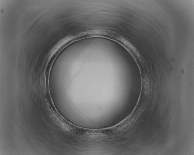 X0000087530886200704271204