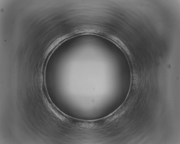 X0000087530890200704271204