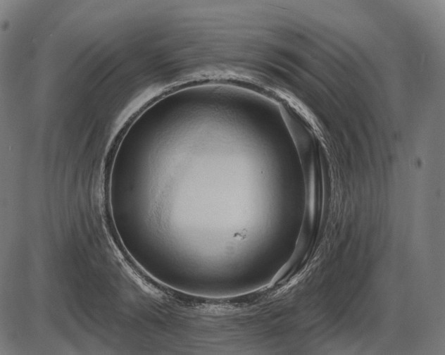 X0000087530894200704271204