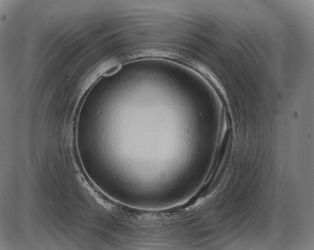 X0000087530898200704271204