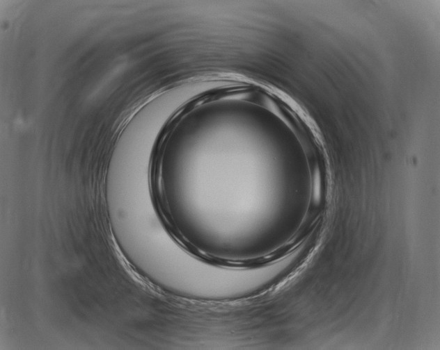 X0000087530905200704271204