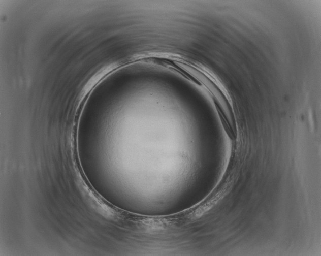 X0000087530906200704271204