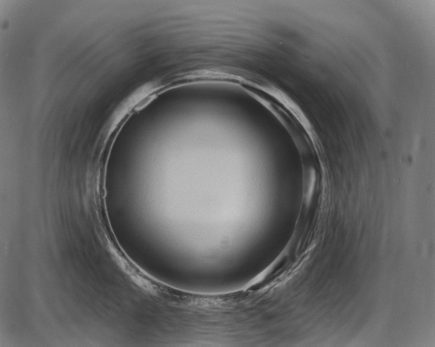 X0000087530909200704271204
