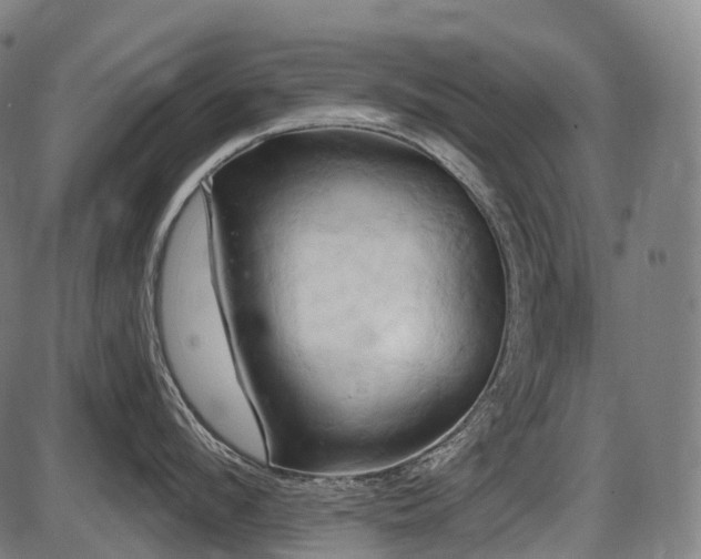X0000087530912200704271204