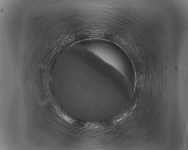 X0000087530913200704271203