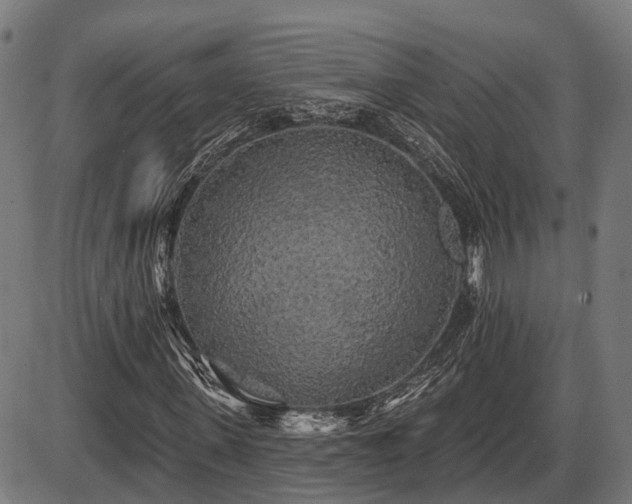 X0000087530915200704271203