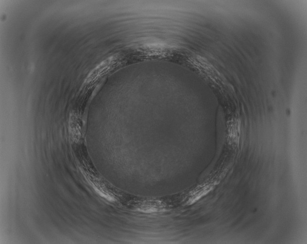 X0000087530916200704271203
