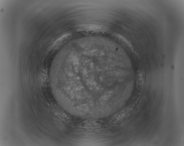 X0000087530918200704271203