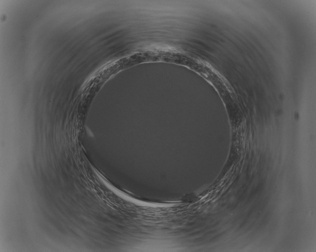 X0000087530919200704271203